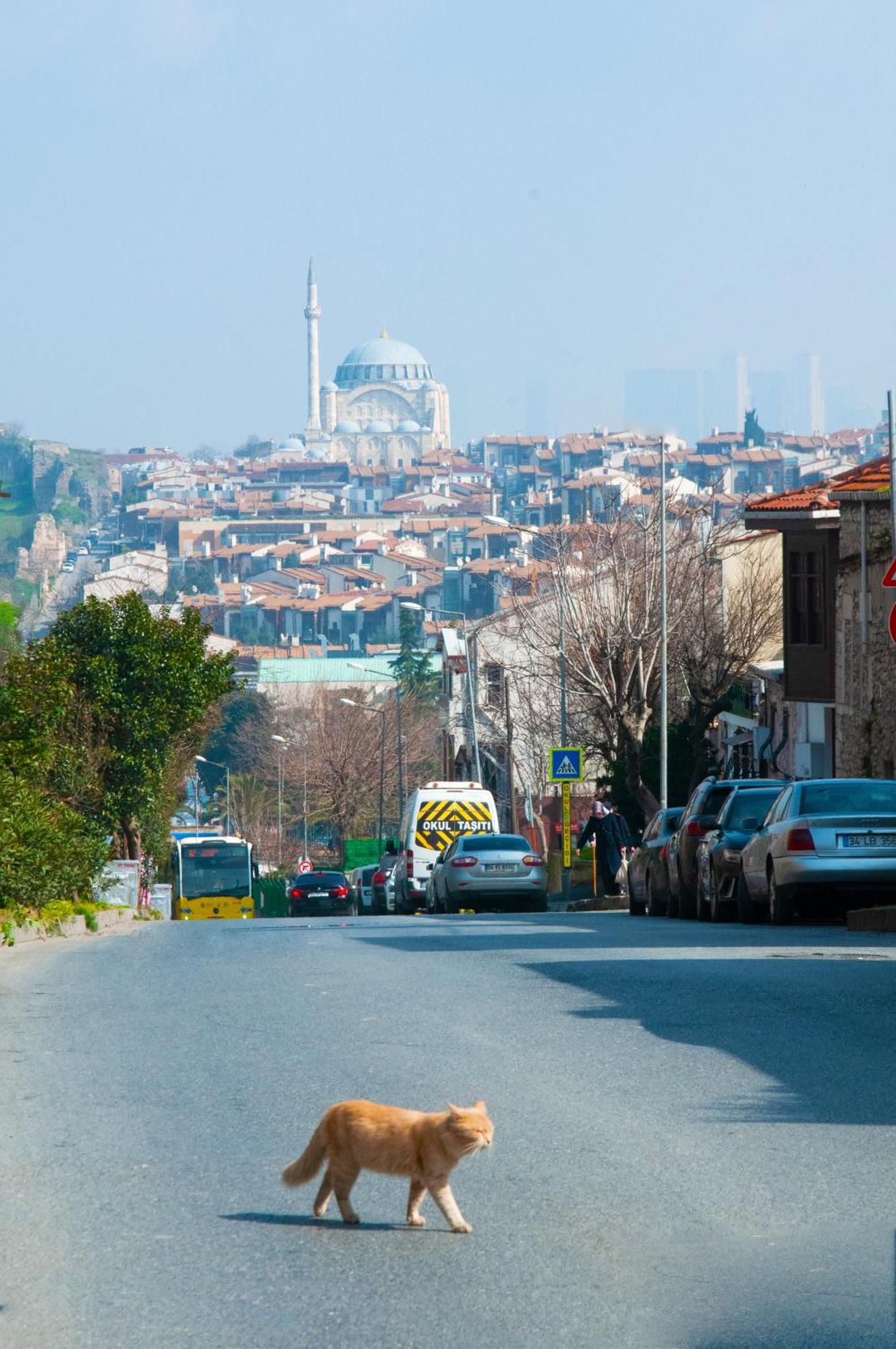 Istanbul Efes Hotel Ngoại thất bức ảnh